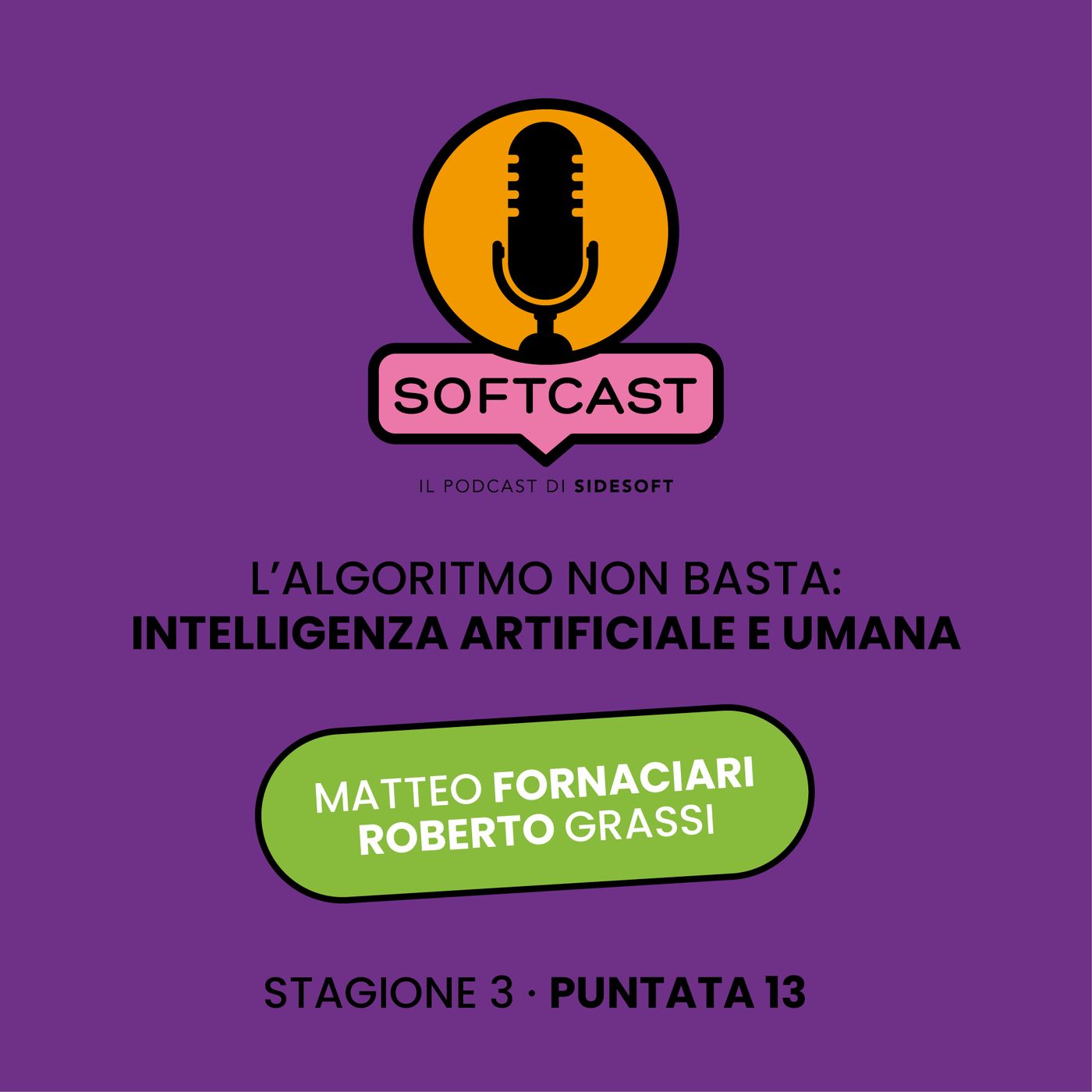 Softcast