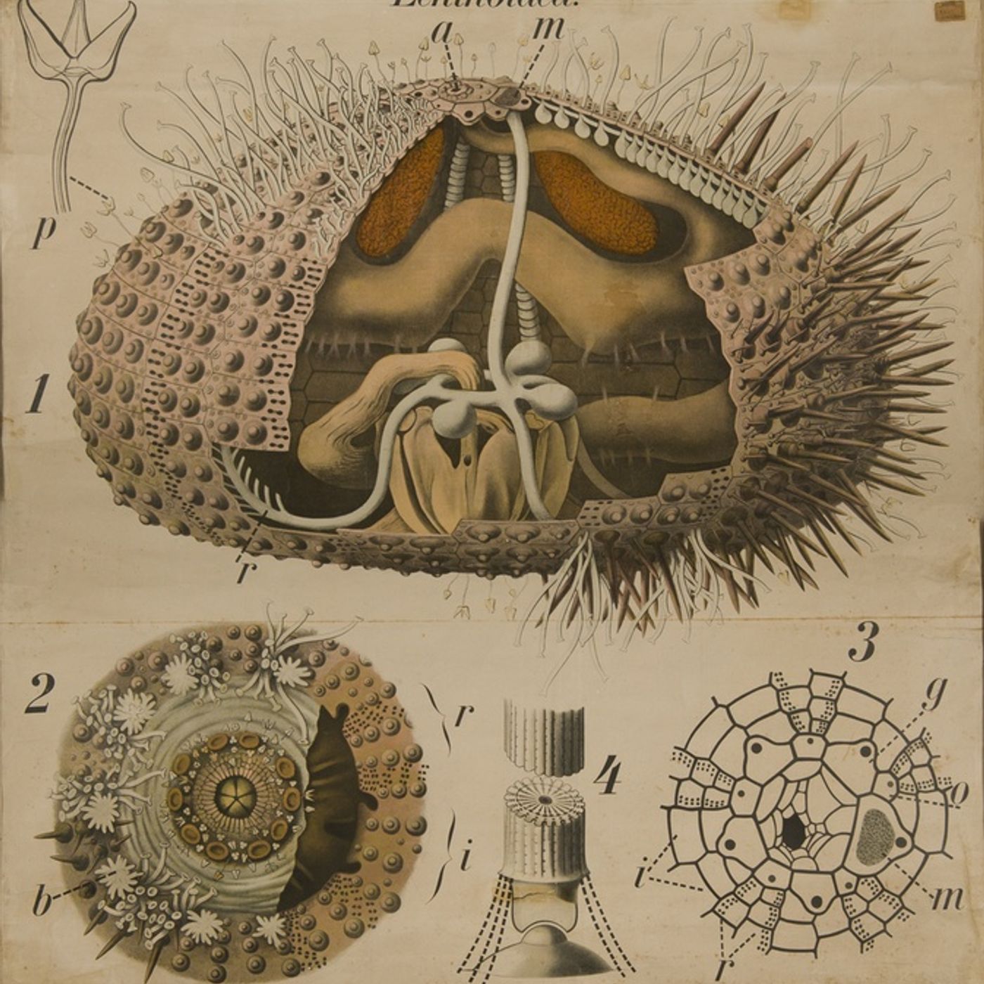 Le voci della scienza