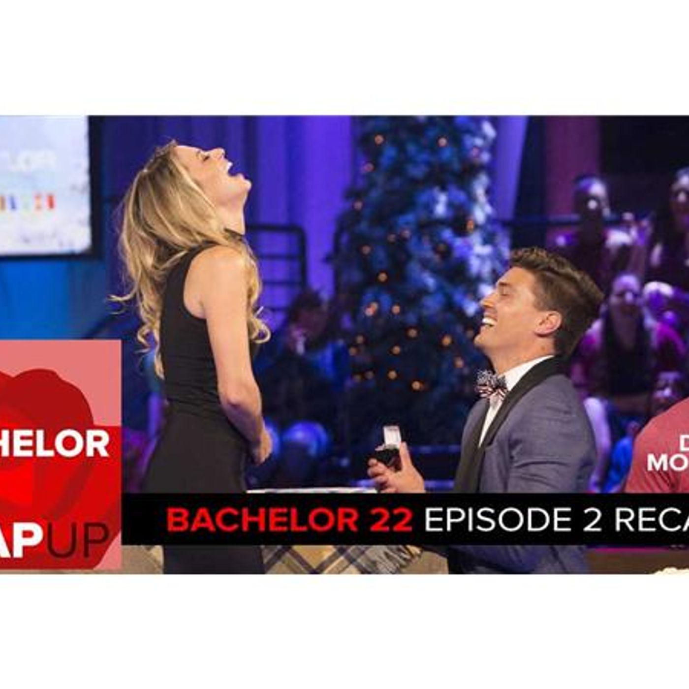 The Bachelor Reality TV RHAP-ups