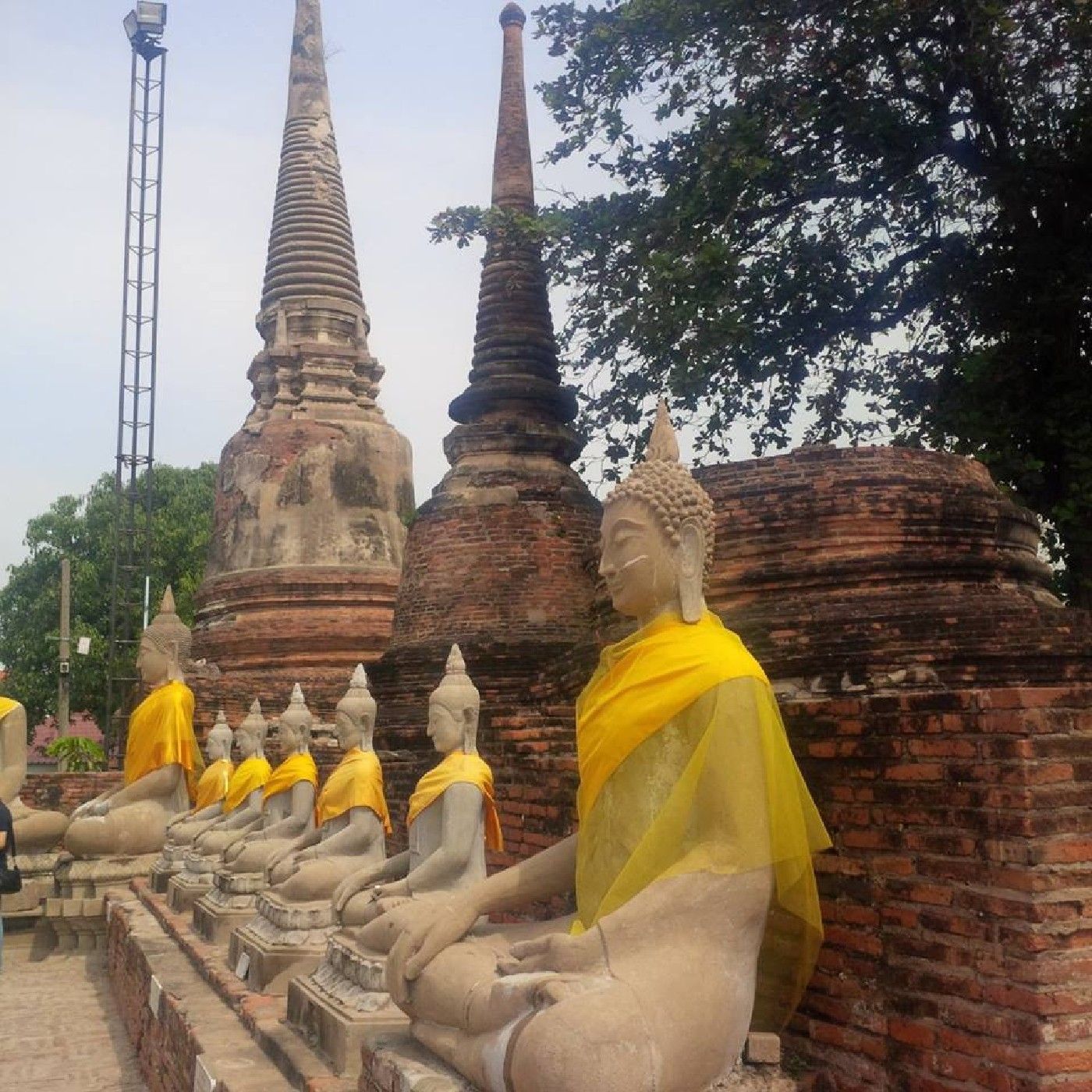 Buddhascool