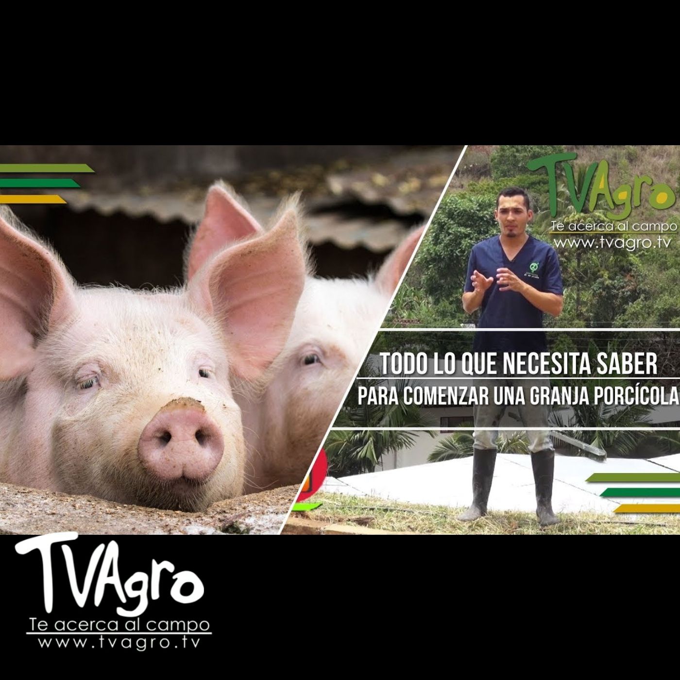 TV AGRO