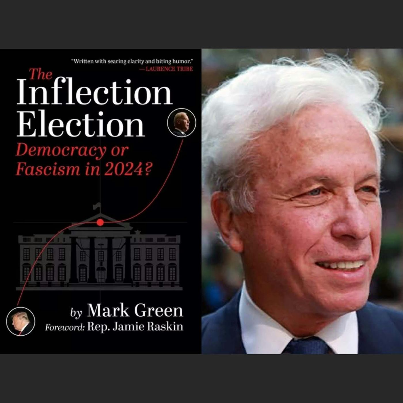 2024: The Inflection Election episode artwork
