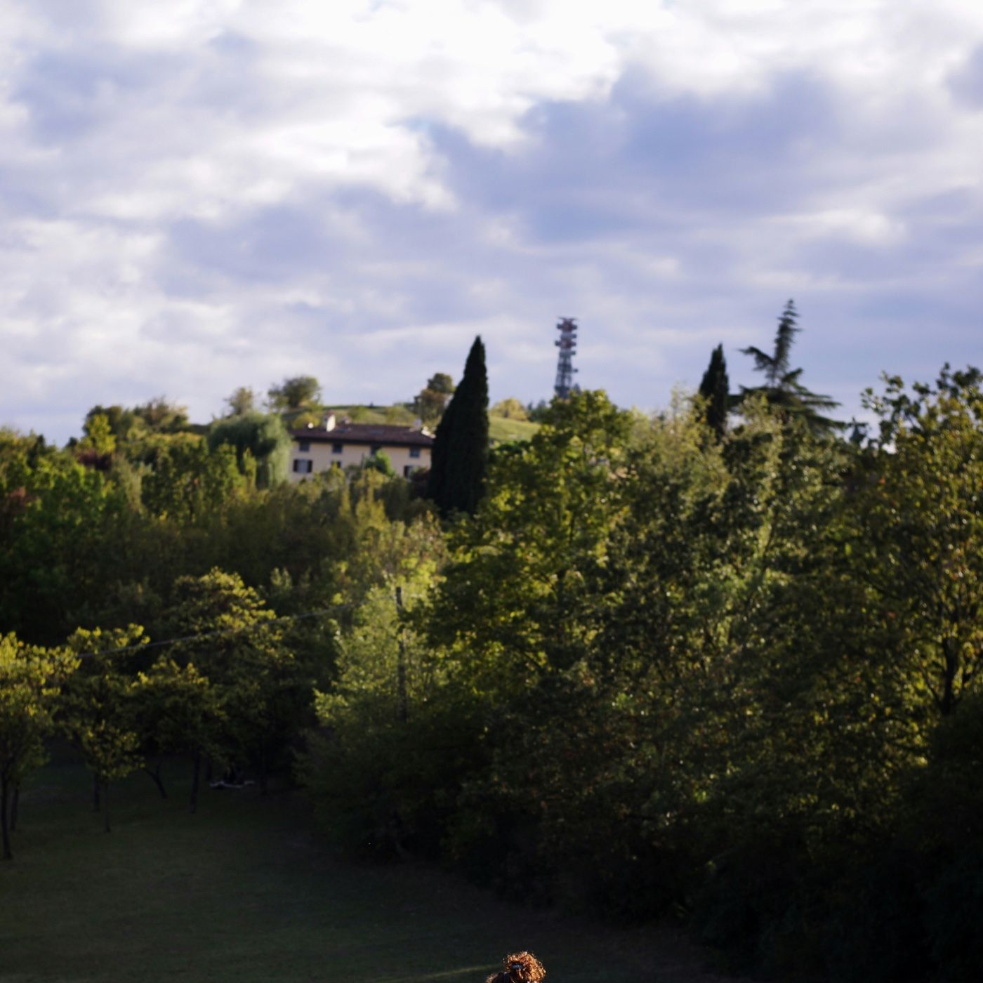 La tua voce