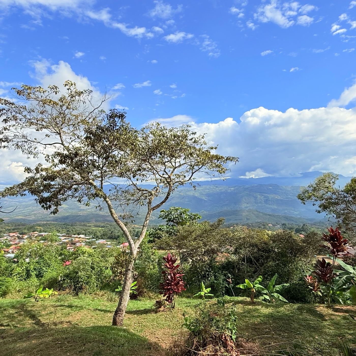 El podcast de JUAN REATEGUI