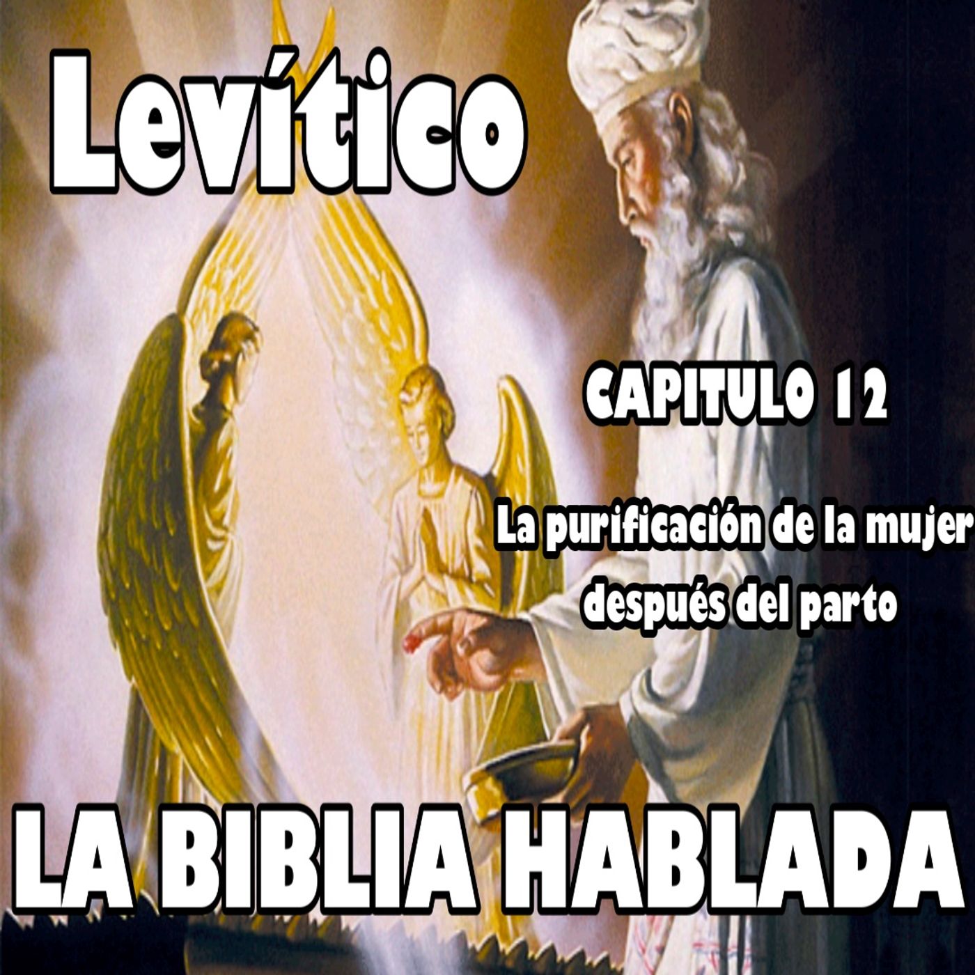 Levítico Capitulo 12. La purificación de la mujer después del parto episode artwork