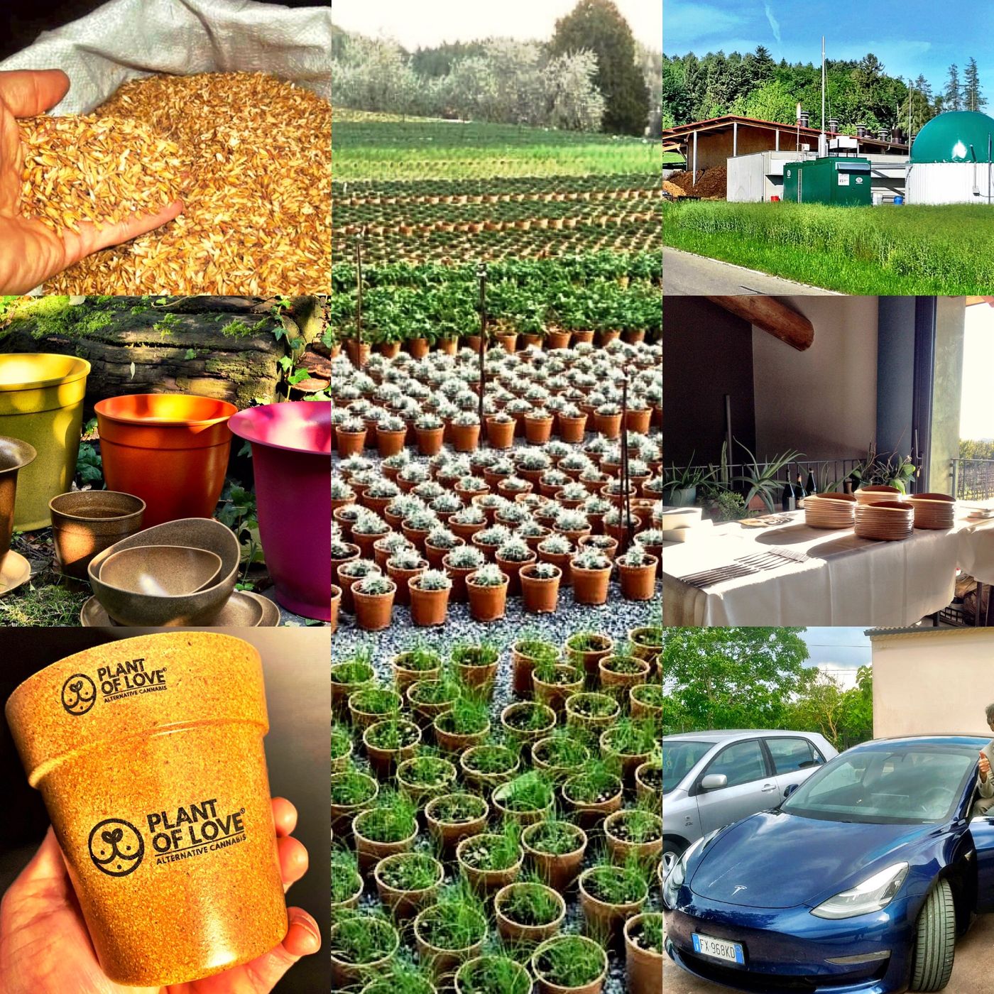 GreenTime - Radio Vivieco