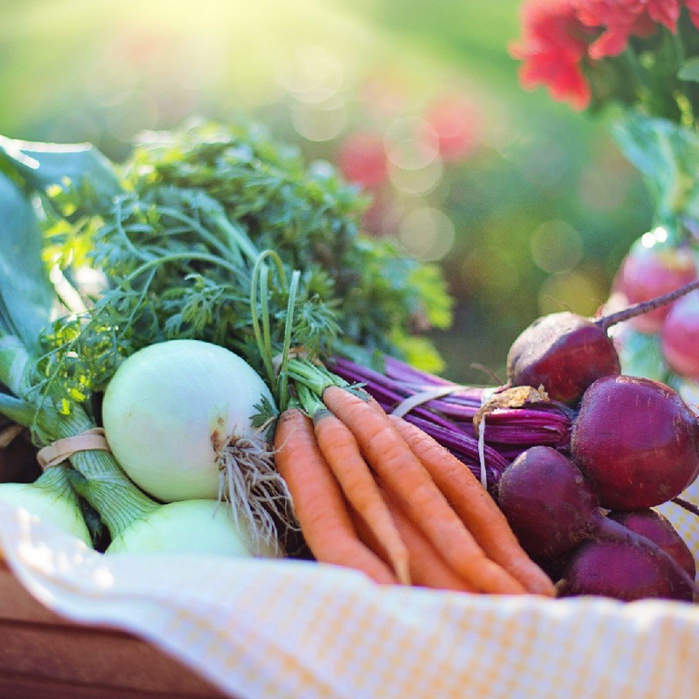 Health and Harmony, LLC