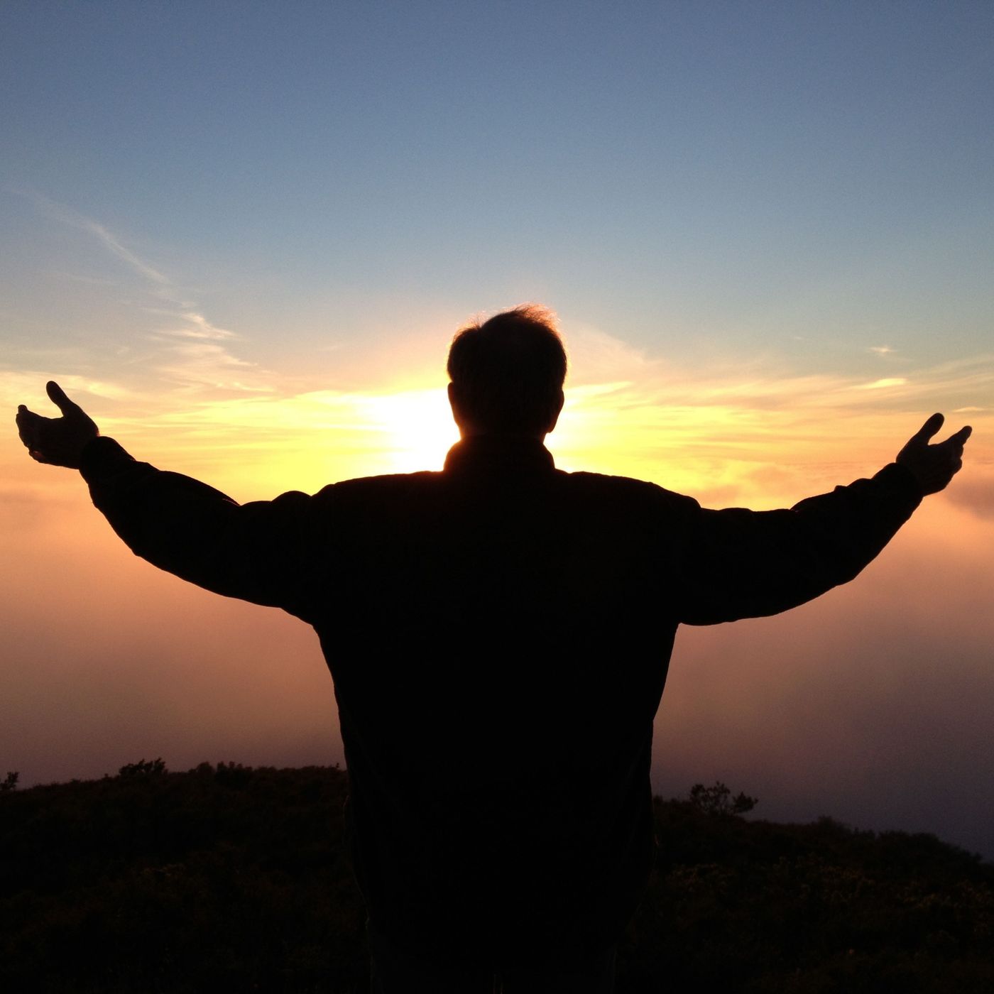 Trusting the Journey: Overcoming Challenges and Finding Inner Strength with Author Sylvia Worsham