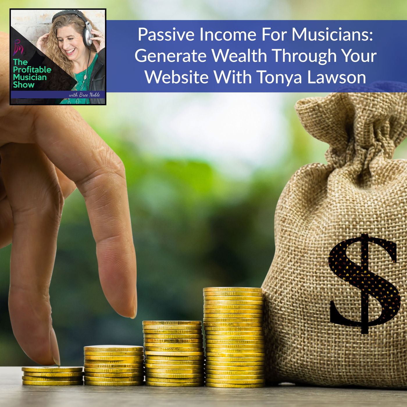 The Profitable Musician Show