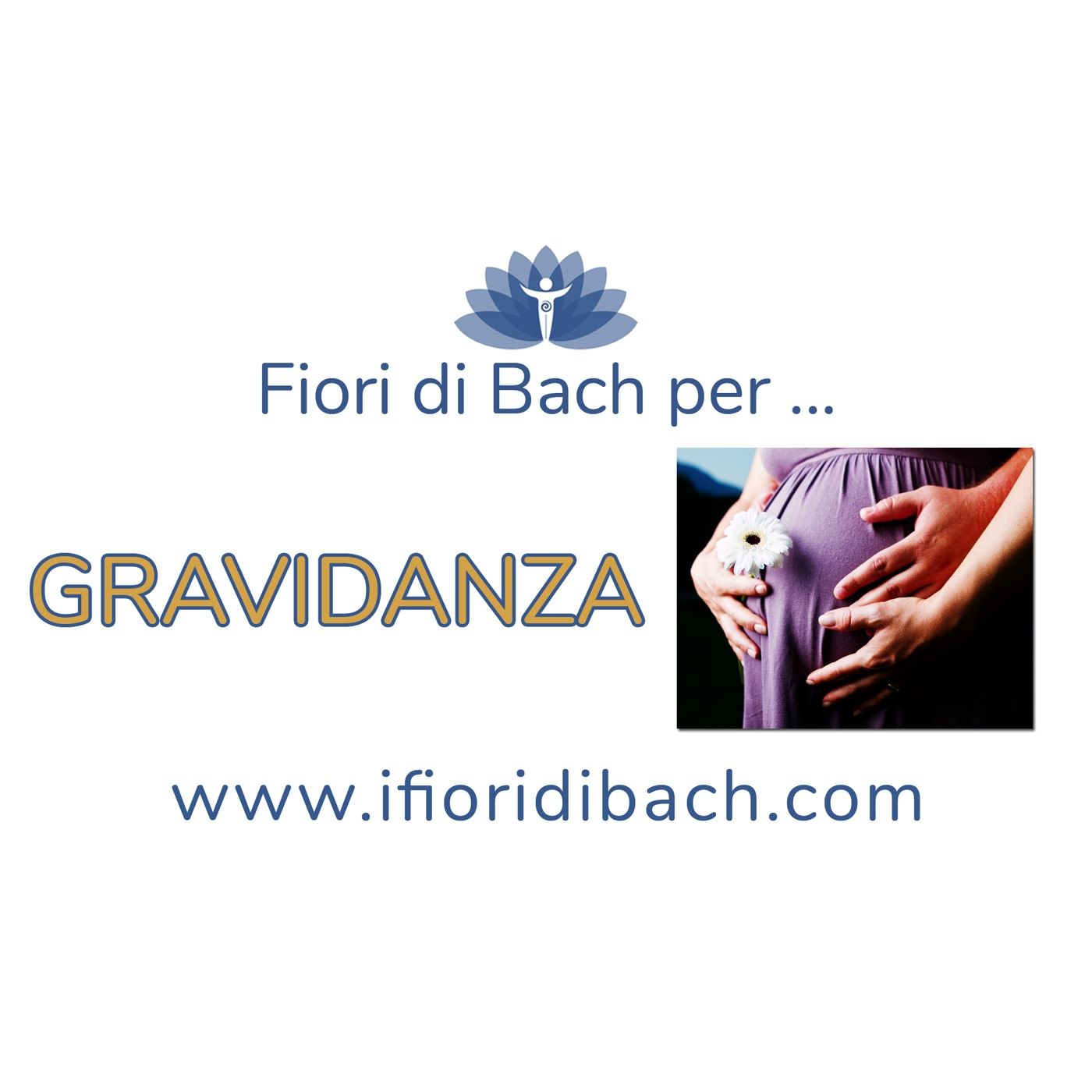 08-fiori-di-bach-per-la-gravidanza