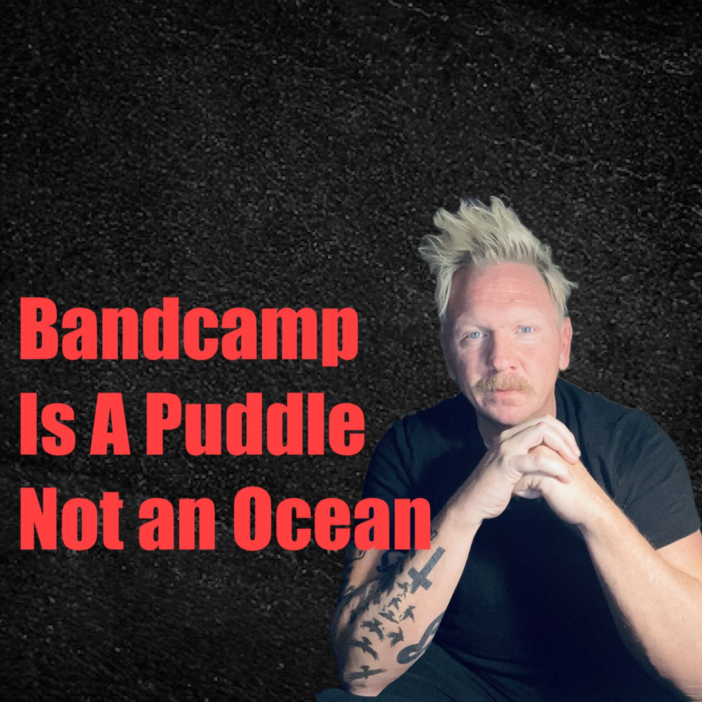 Bandcamp is a Puddle, Not an Ocean episode artwork