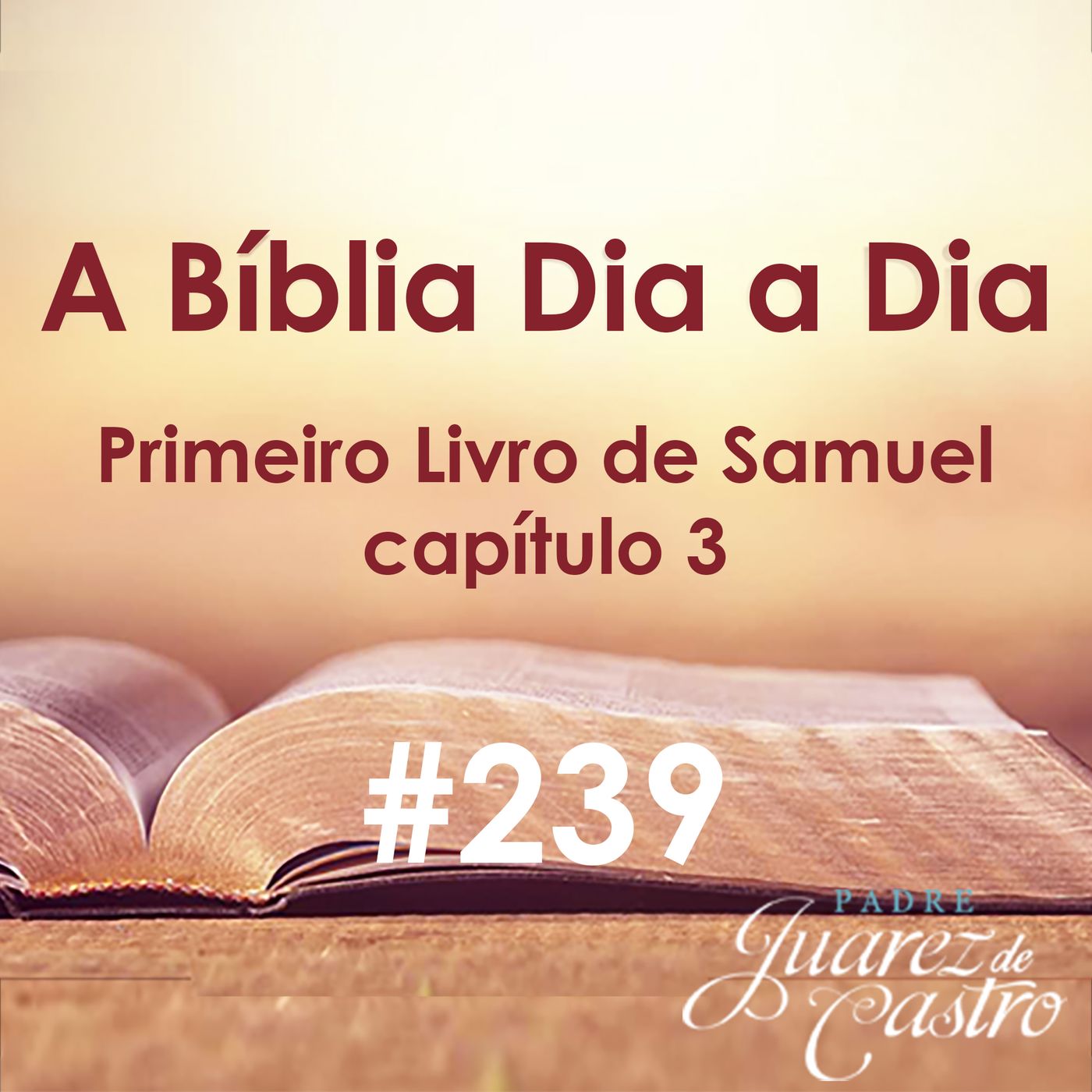 Curso Bíblico Padre Juarez