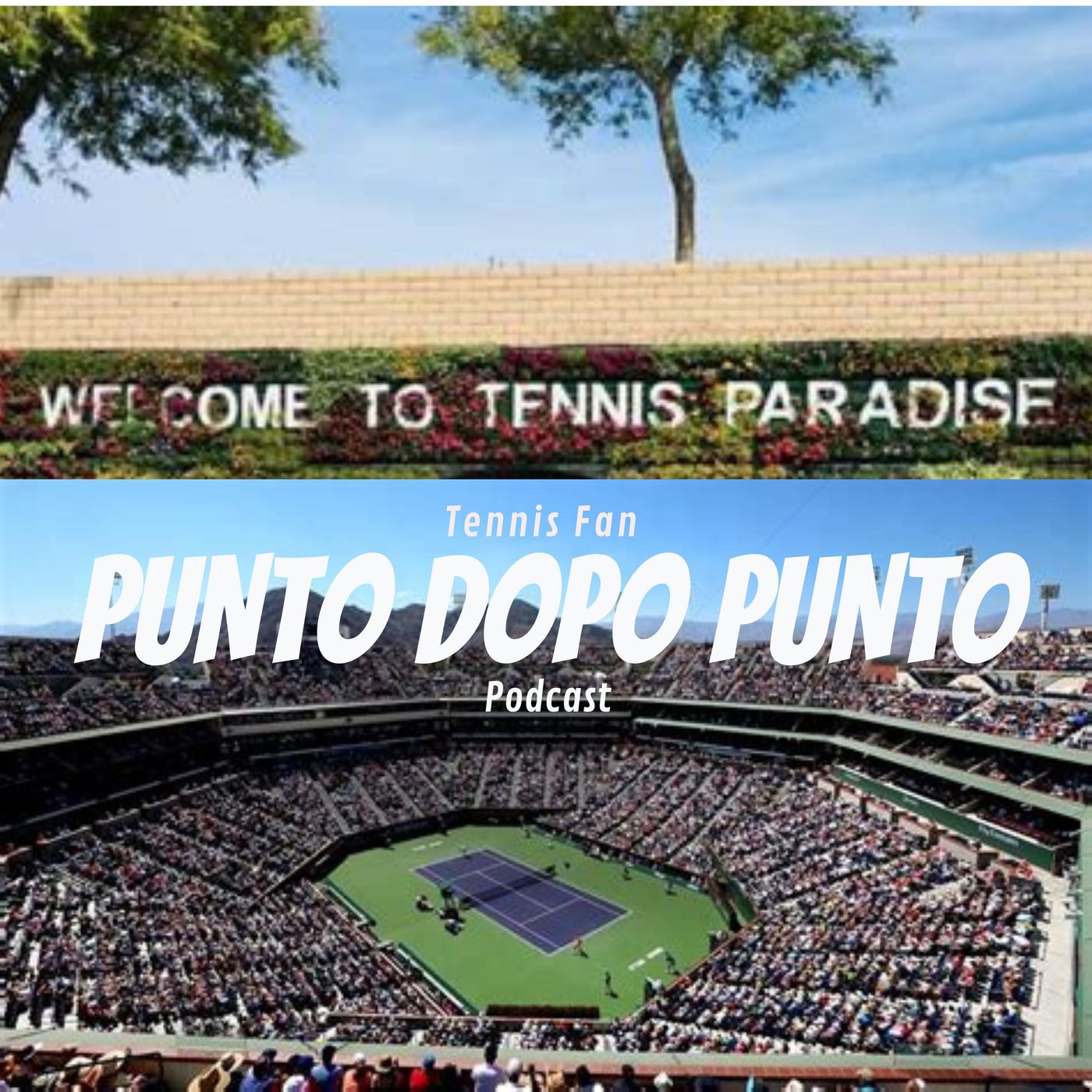 Punto Dopo punto - Tennis Fan Podcast