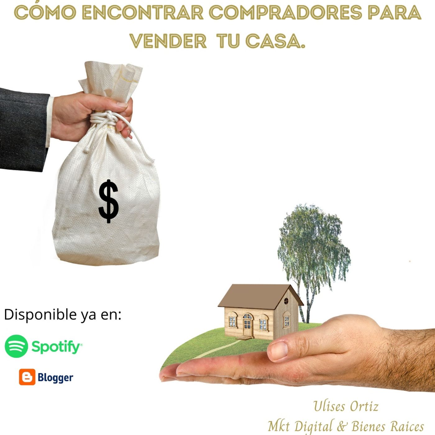 Ulises Ortiz Bienes Raíces