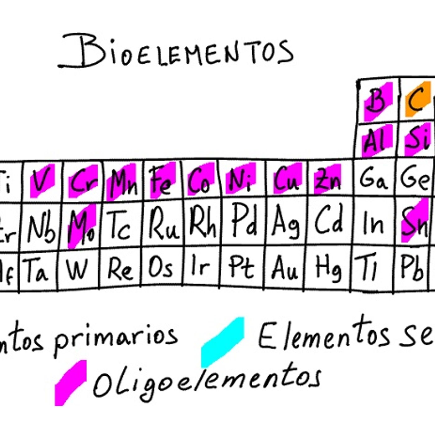 Tema 1: Bioelementos
