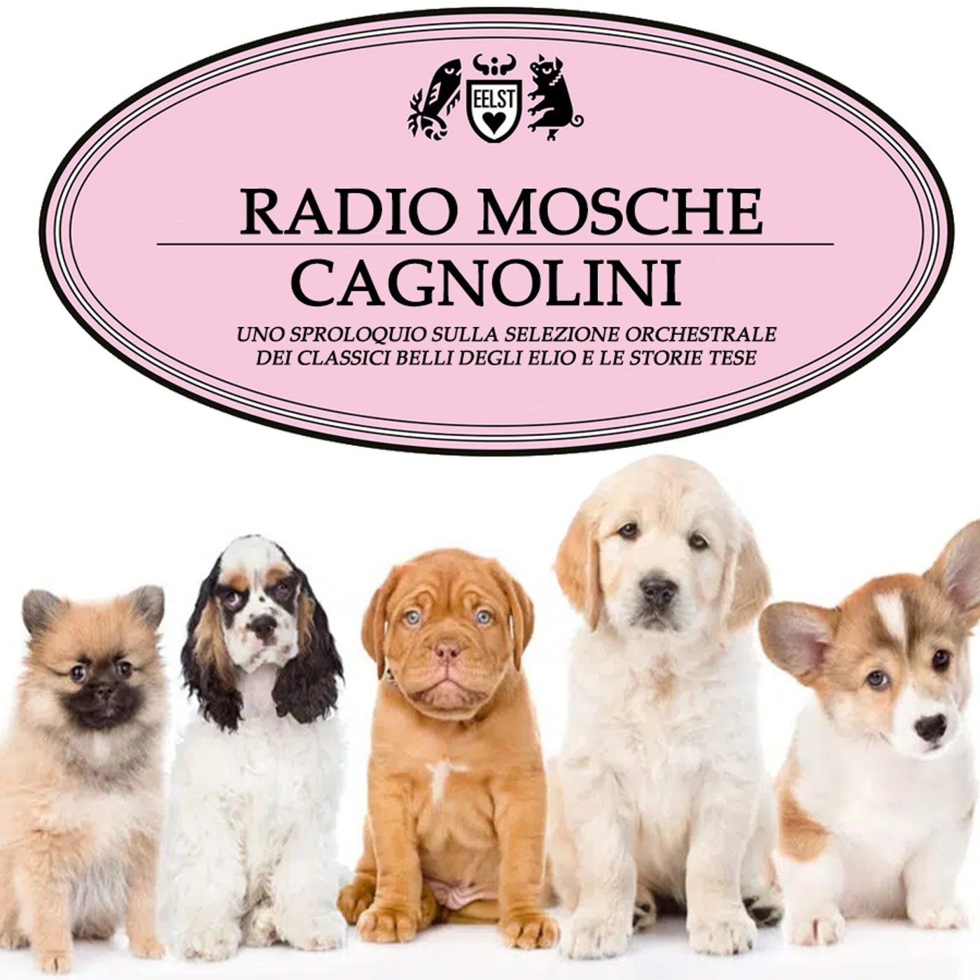 Radio Mosche - Podcast EELST