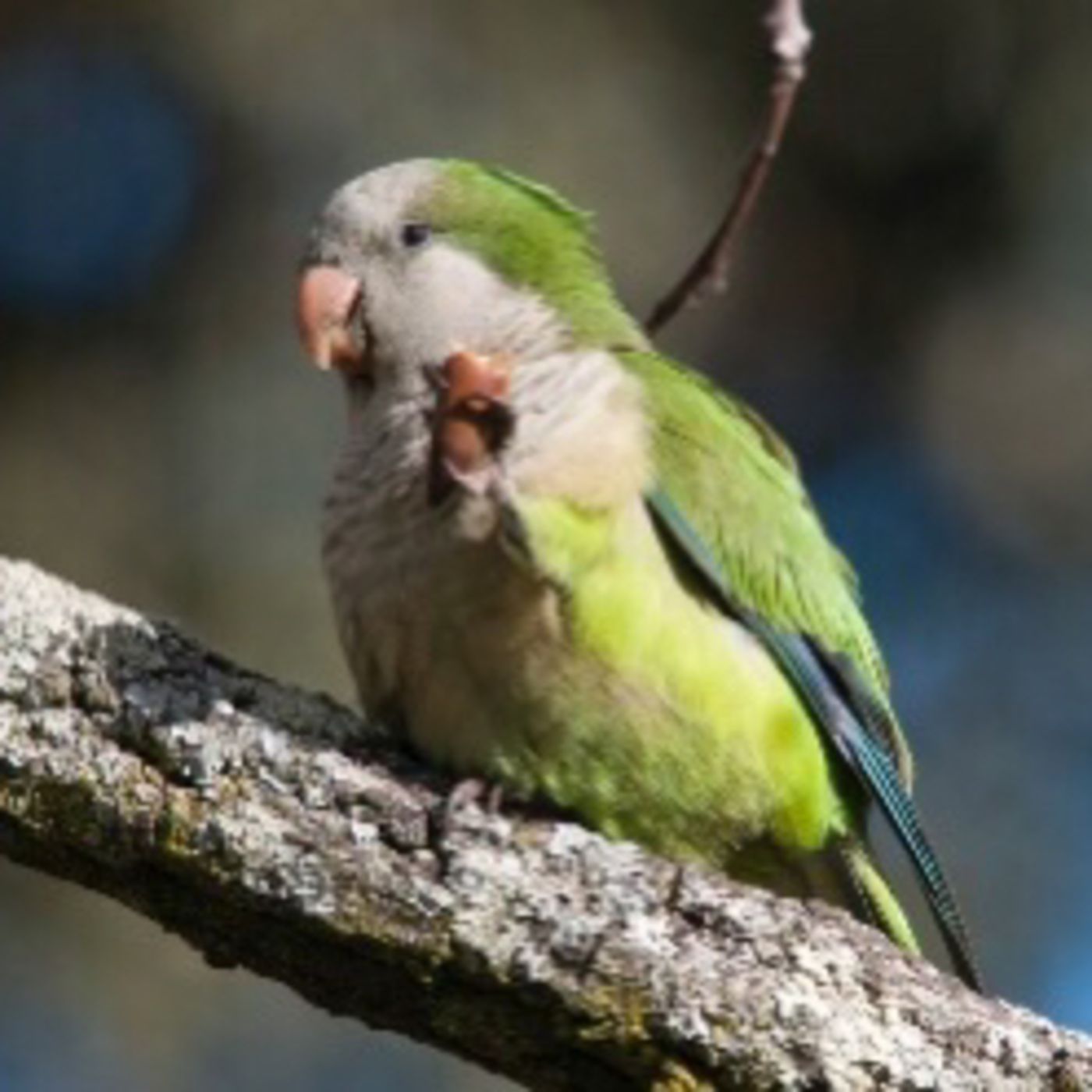 Libros y Cuentos de José Pardal