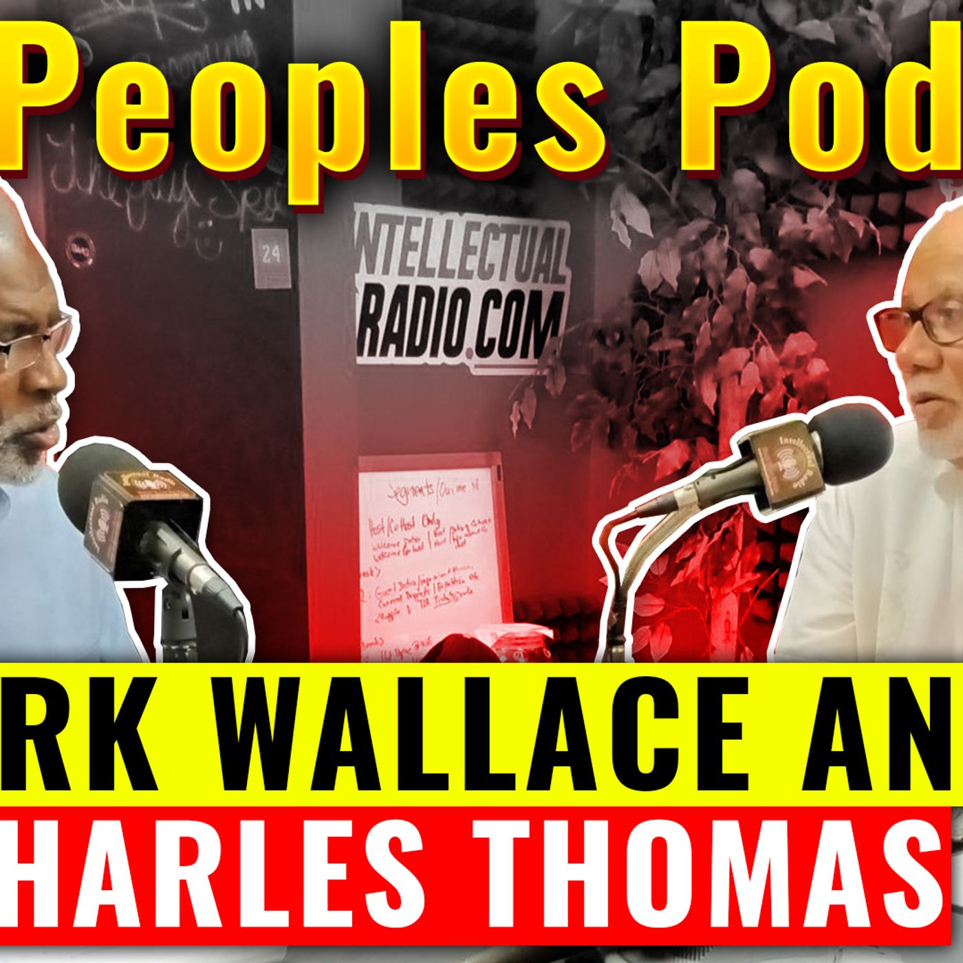 The Poeple's Show episode artwork