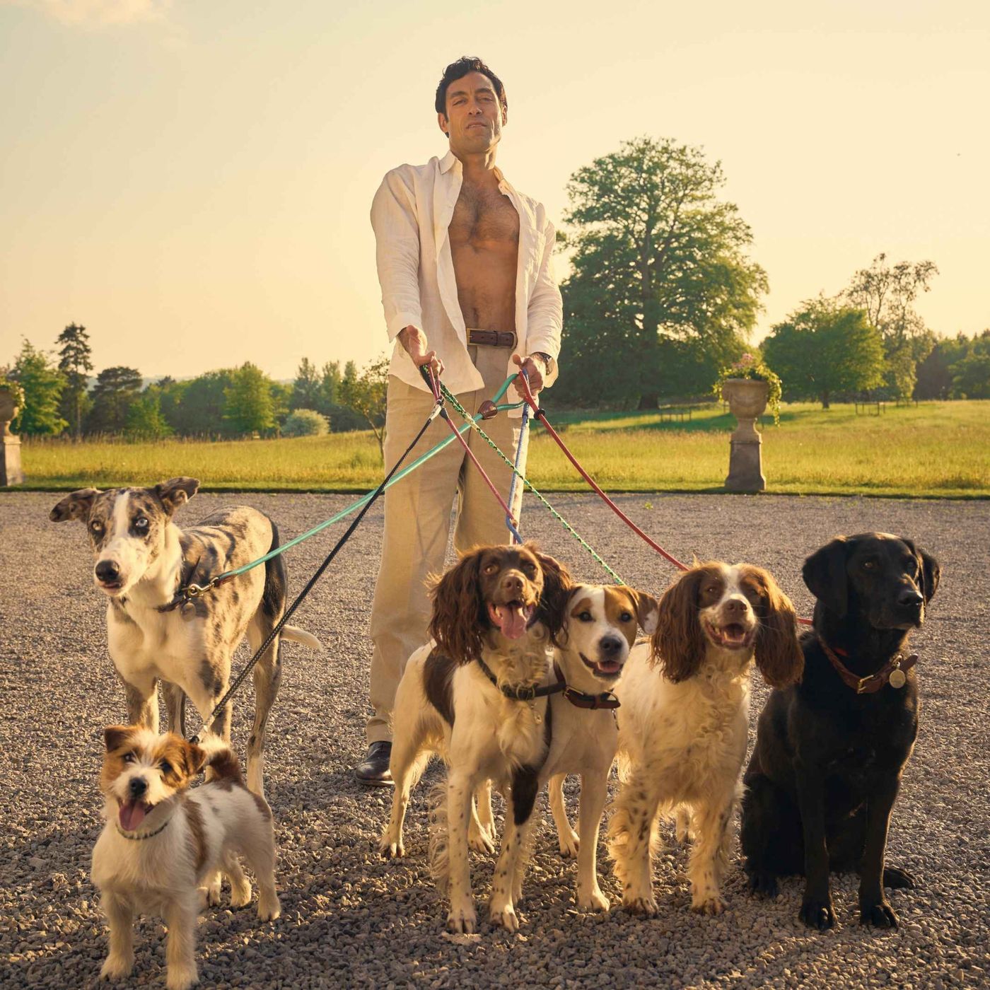 'Rivals' and the cult of Jilly Cooper