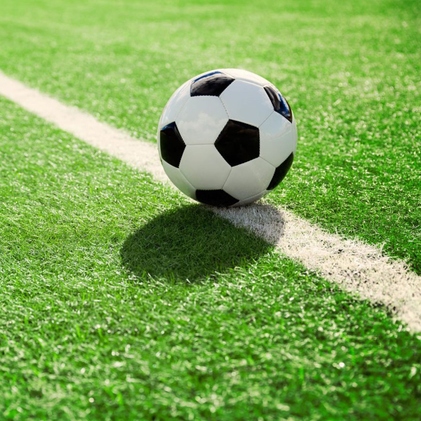 00-Trailer 00-Trailer