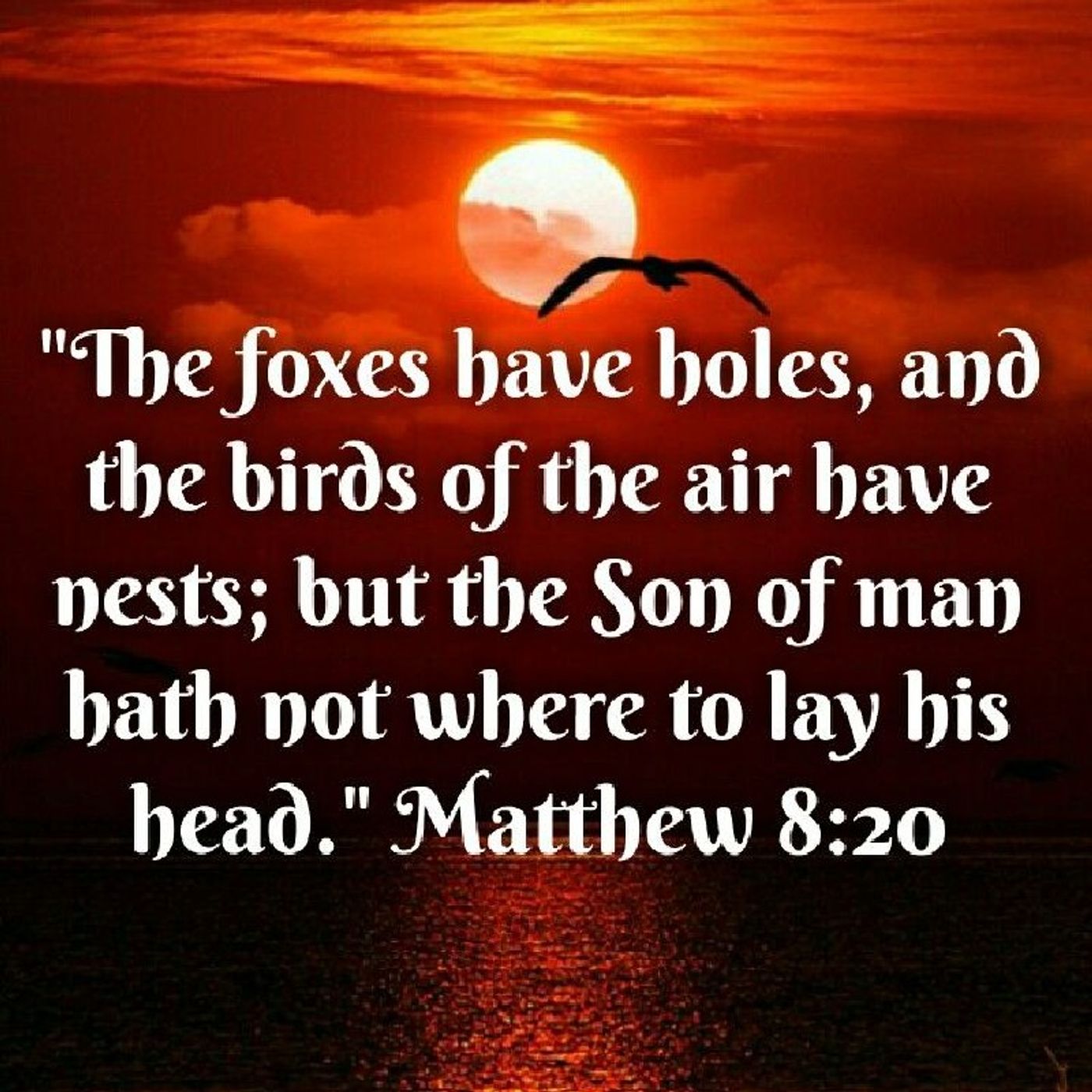 FOXES HAVE HOLES BIRDS HAVE NEST! BUT IF YOUR CHOSEN YOU WILL GET NO REST! episode artwork