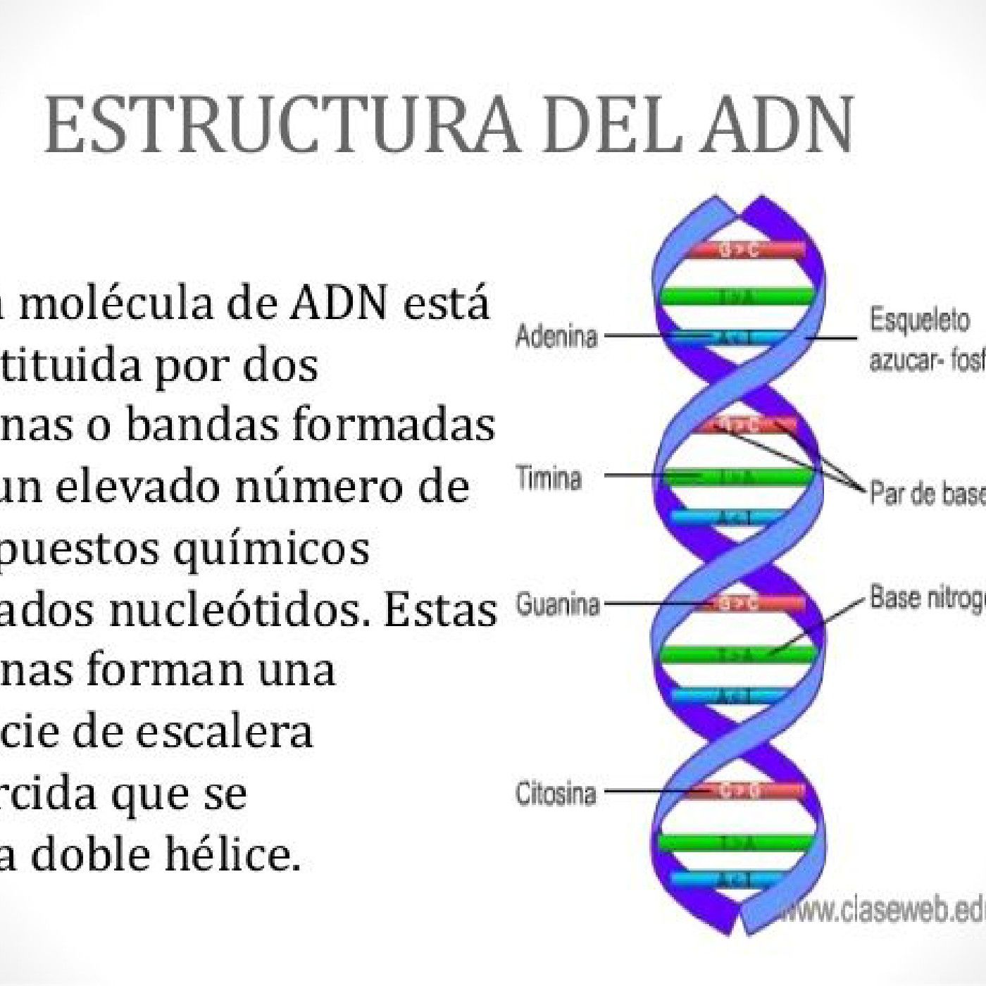 El podcast de Iris Dayana