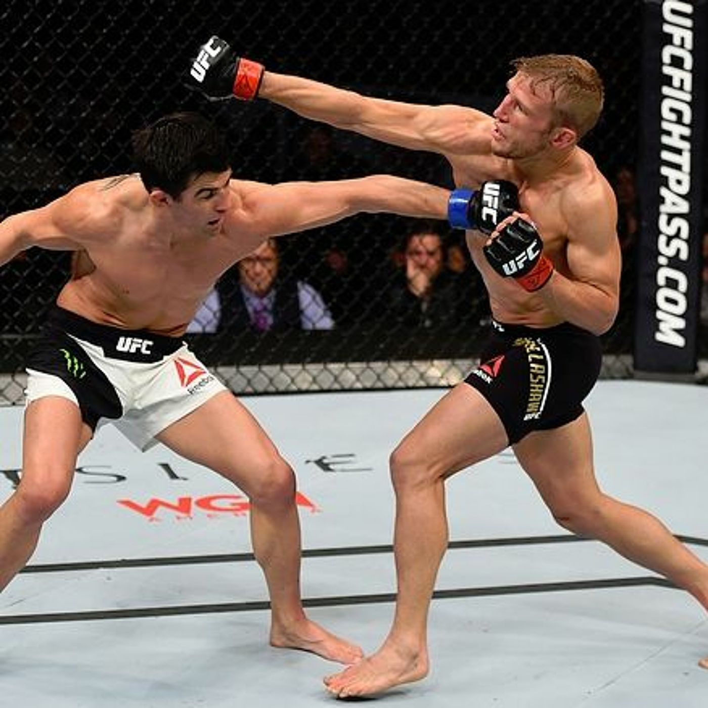 'Cheap Seats' with Jordan Breen and Greg Savage: Cruz-Dillashaw Reaction, Listener Calls episode artwork