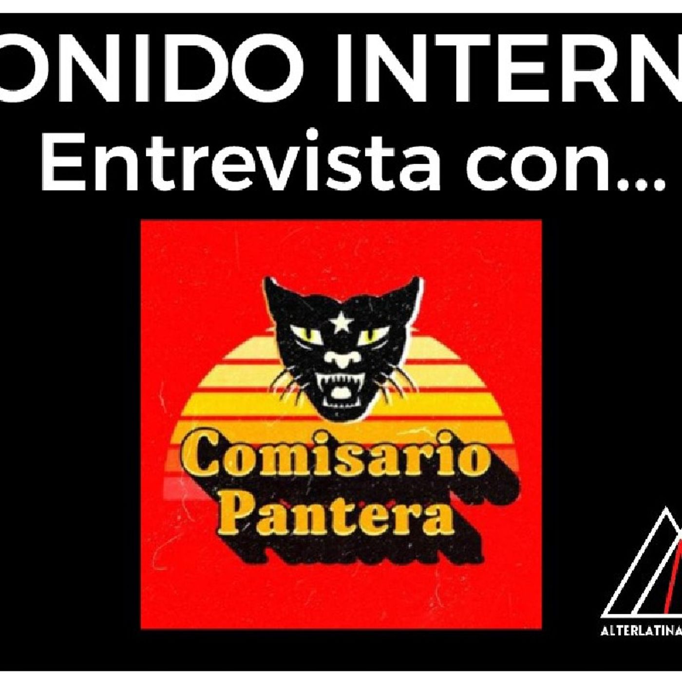 SONIDO INTERNO