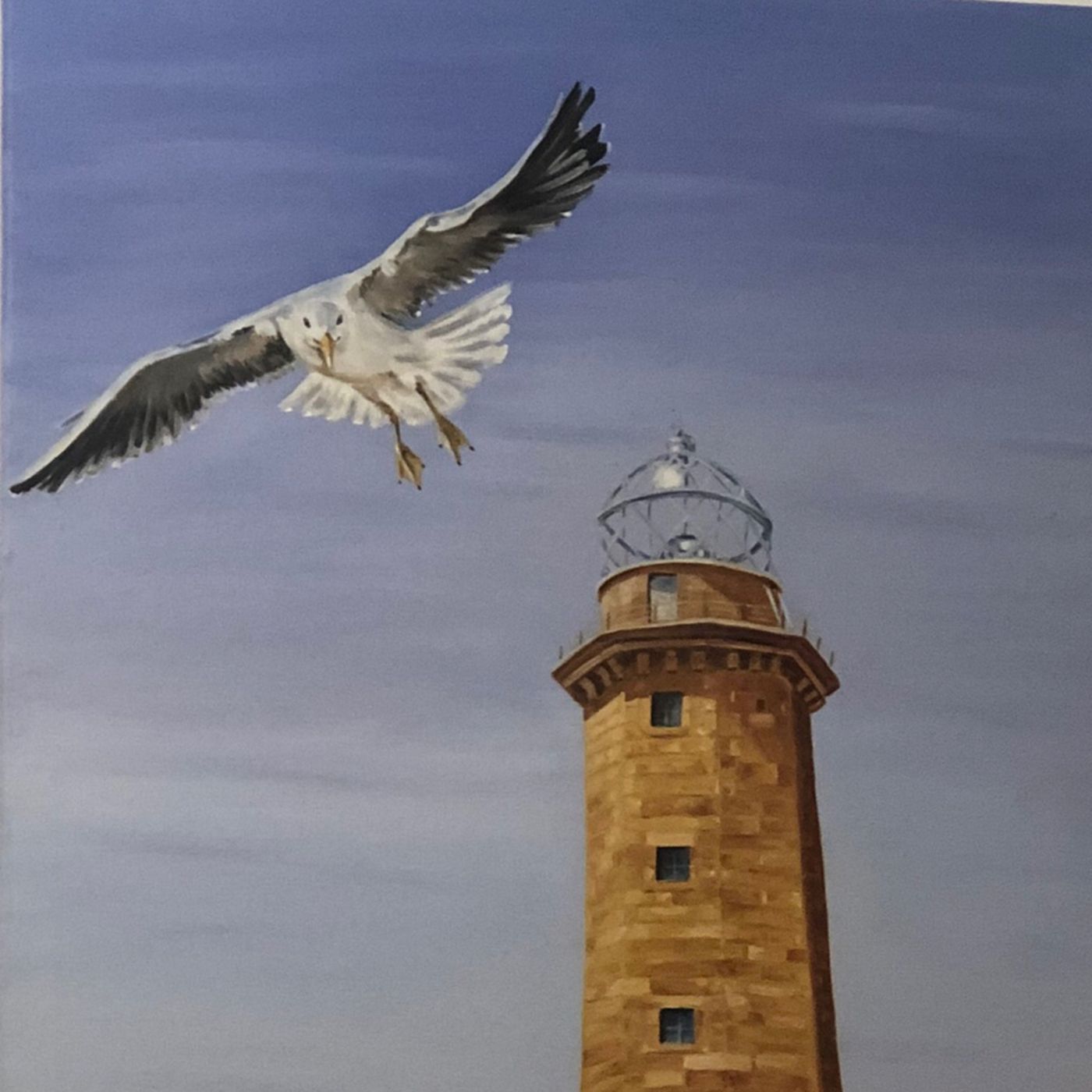 La gaviota Rita y el faro