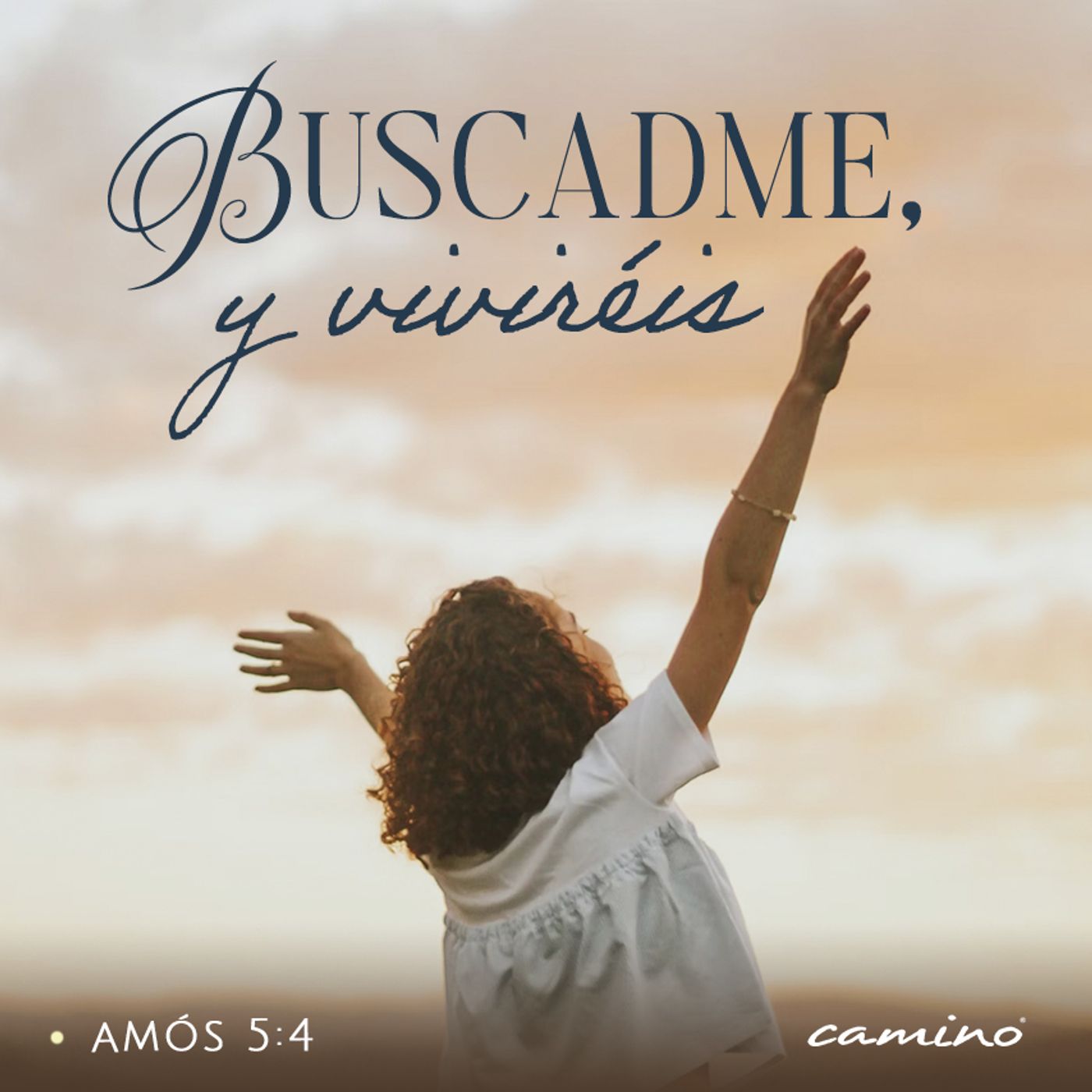 Oración 11 de noviembre (Buscadme, y viviréis) episode artwork