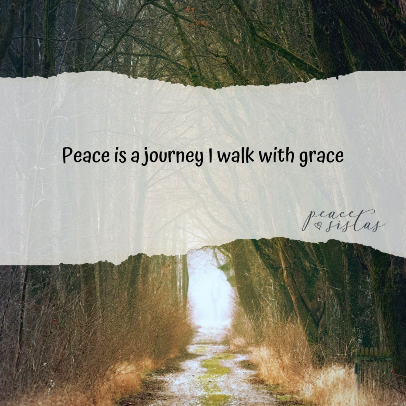Peace Pause Meditation 3-30-26 episode artwork