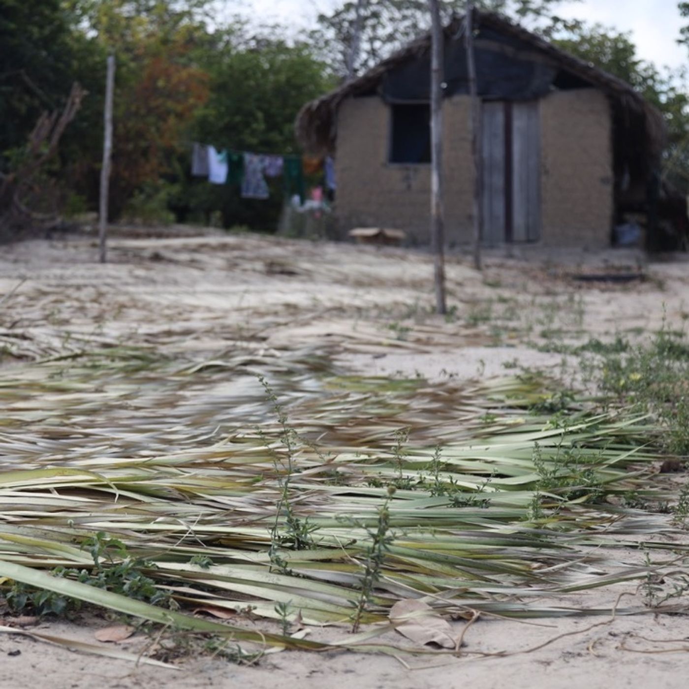 Episode 59 | Defending Their Land: Black communities resist Brazilian space center
