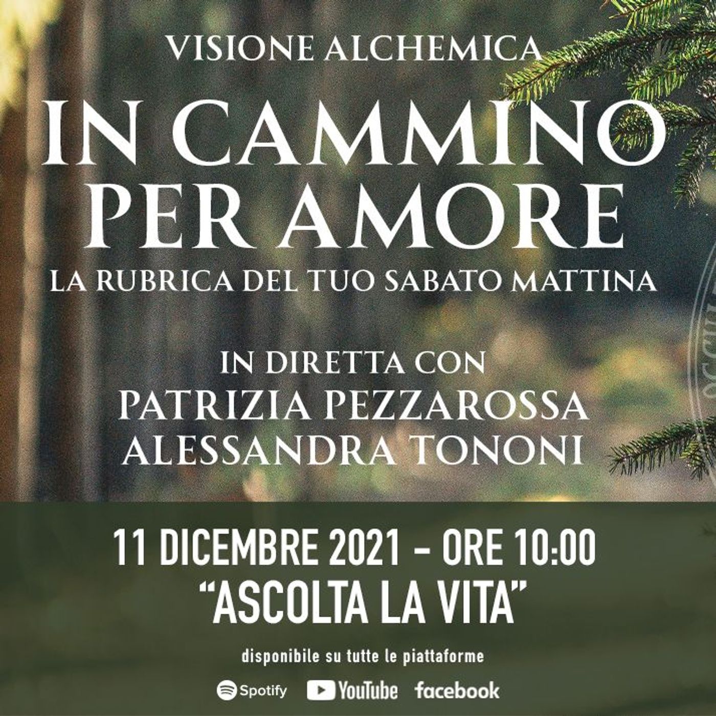 Visione Alchemica