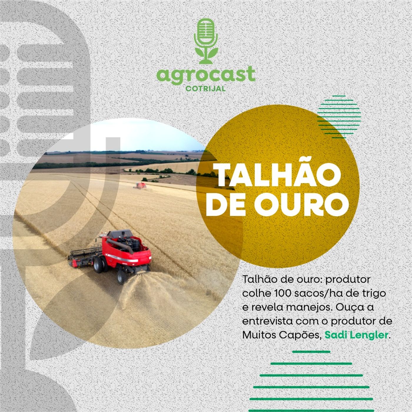 AgroCast Cotrijal