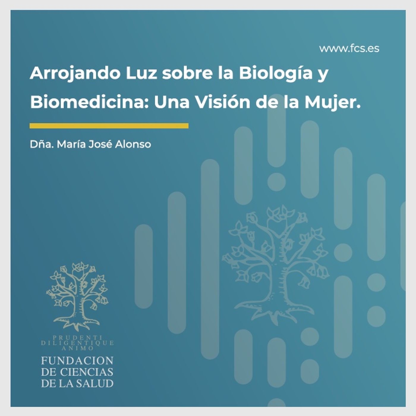 Ciencia y Tecnología: Visión de la Mujer