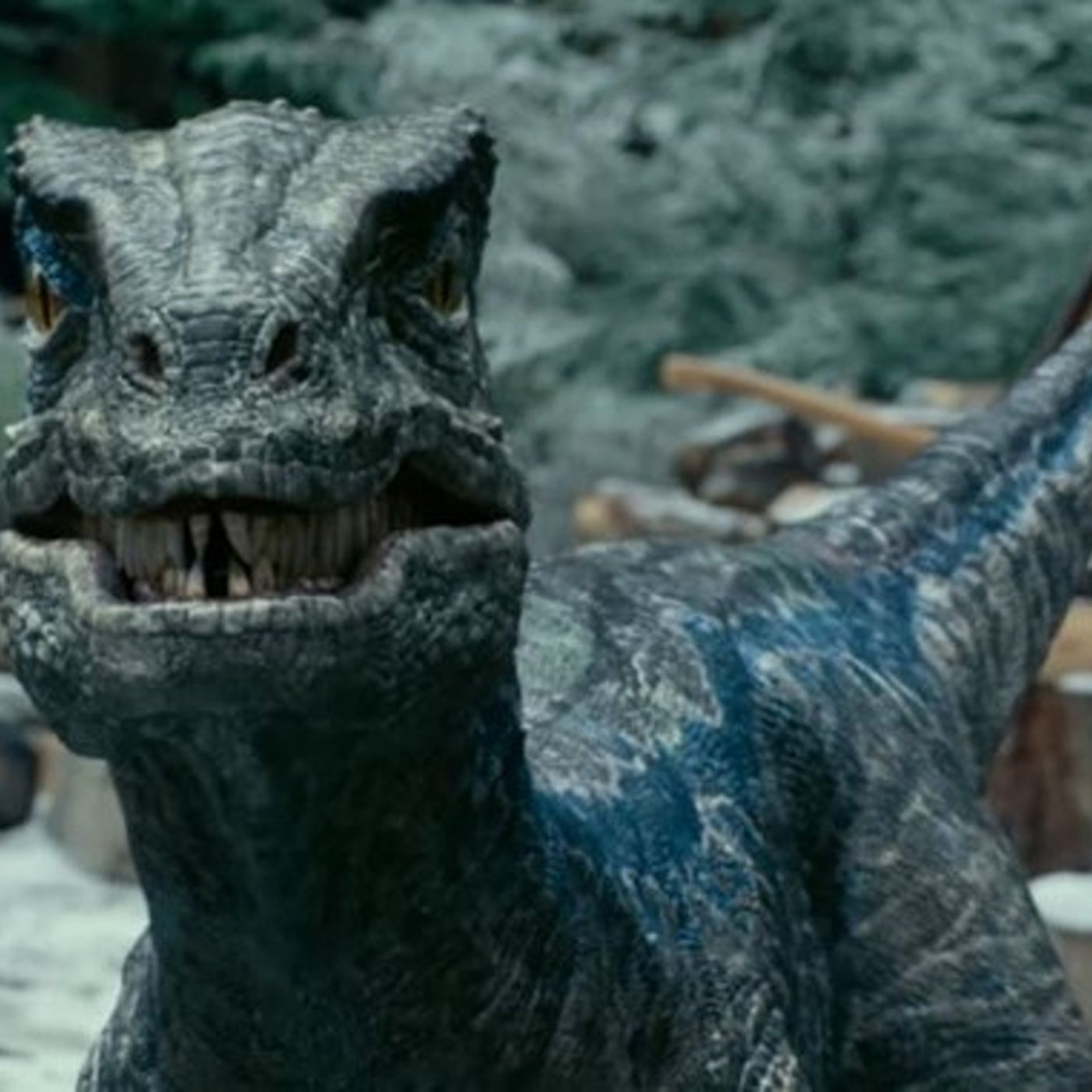 The Breakdown of Jurassic World Dominion, Hustle, and The Valet