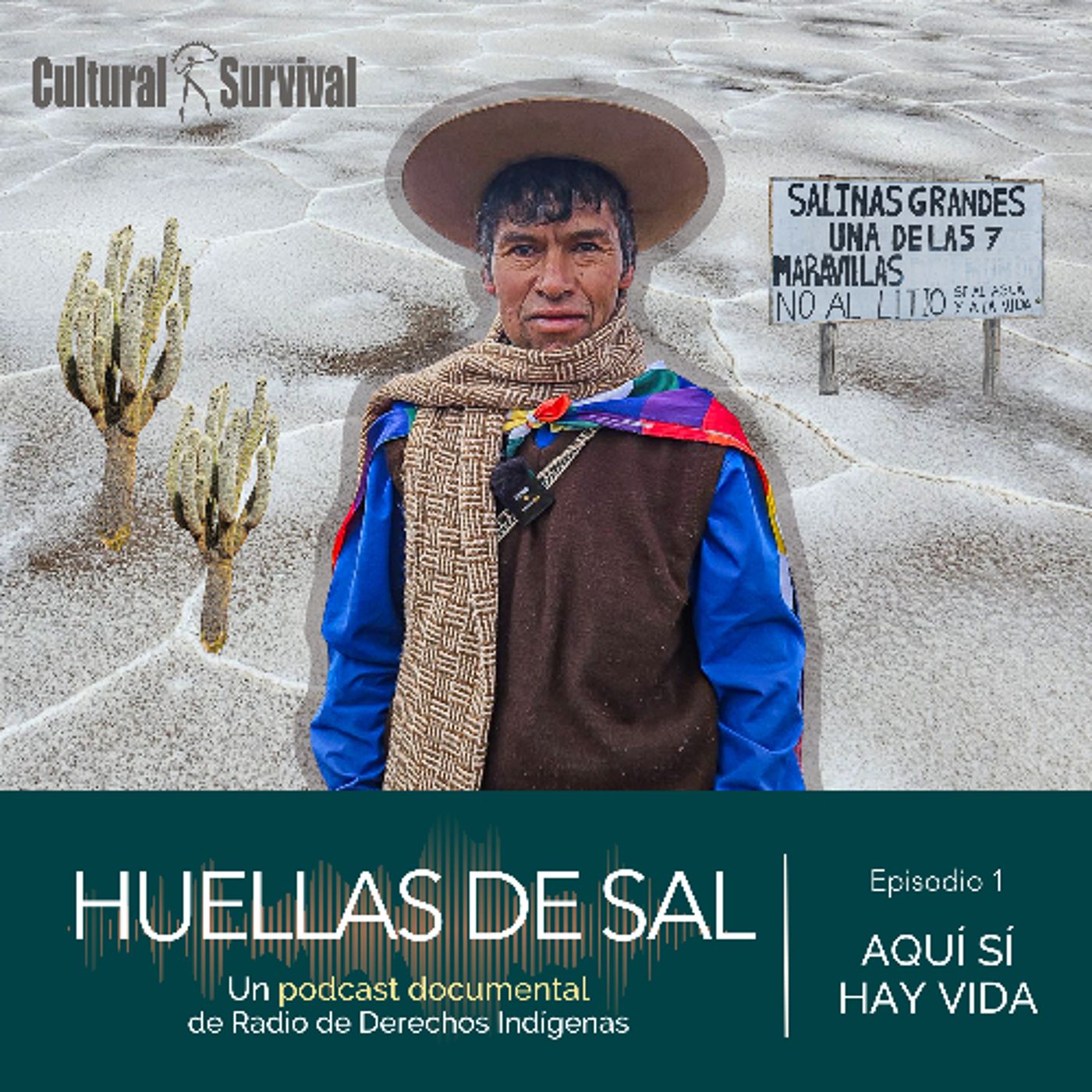 HUELLAS DE SAL – EPISODIO 1- AQUÍ SÍ HAY VIDA