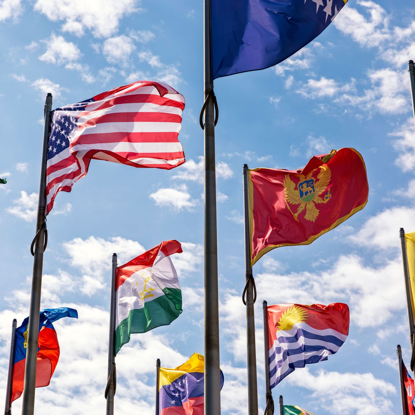What Flag Are You Flying? — The Brian Lehrer Show cover