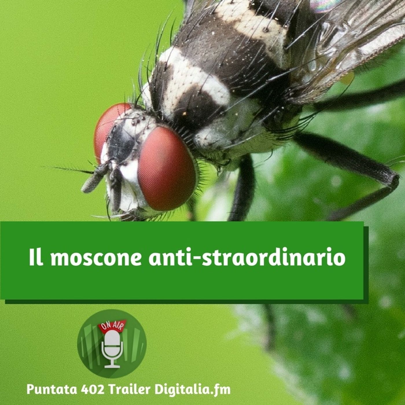 I trailer di Digitalia