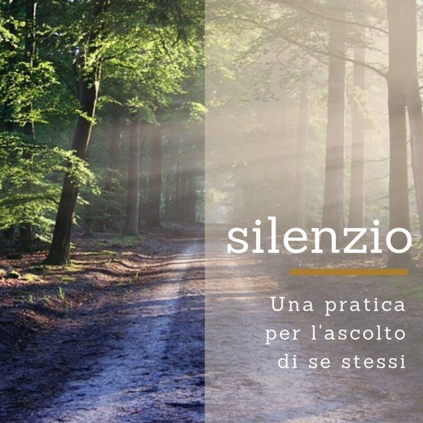 Pratica del silenzio - In ascolto di se stessi episode artwork