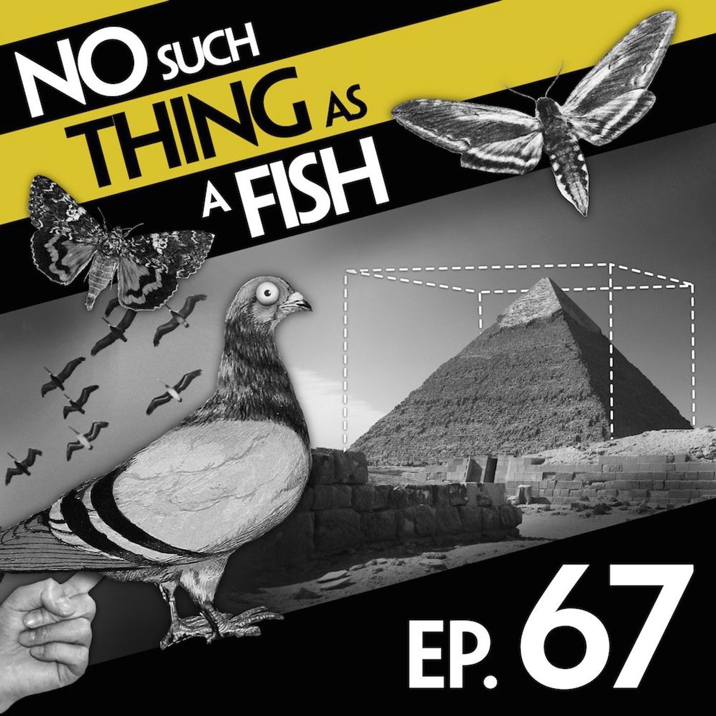 No Such Thing As The Hoo-Hah Monologues episode artwork