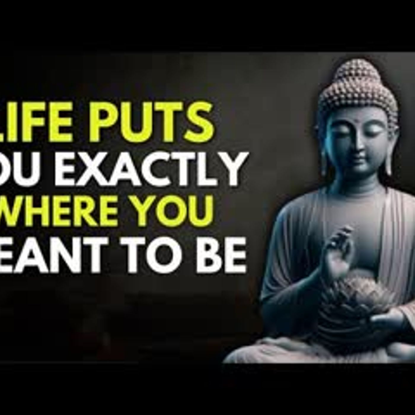 Everything Happens for a Reason   Buddhist Philosophy Explained