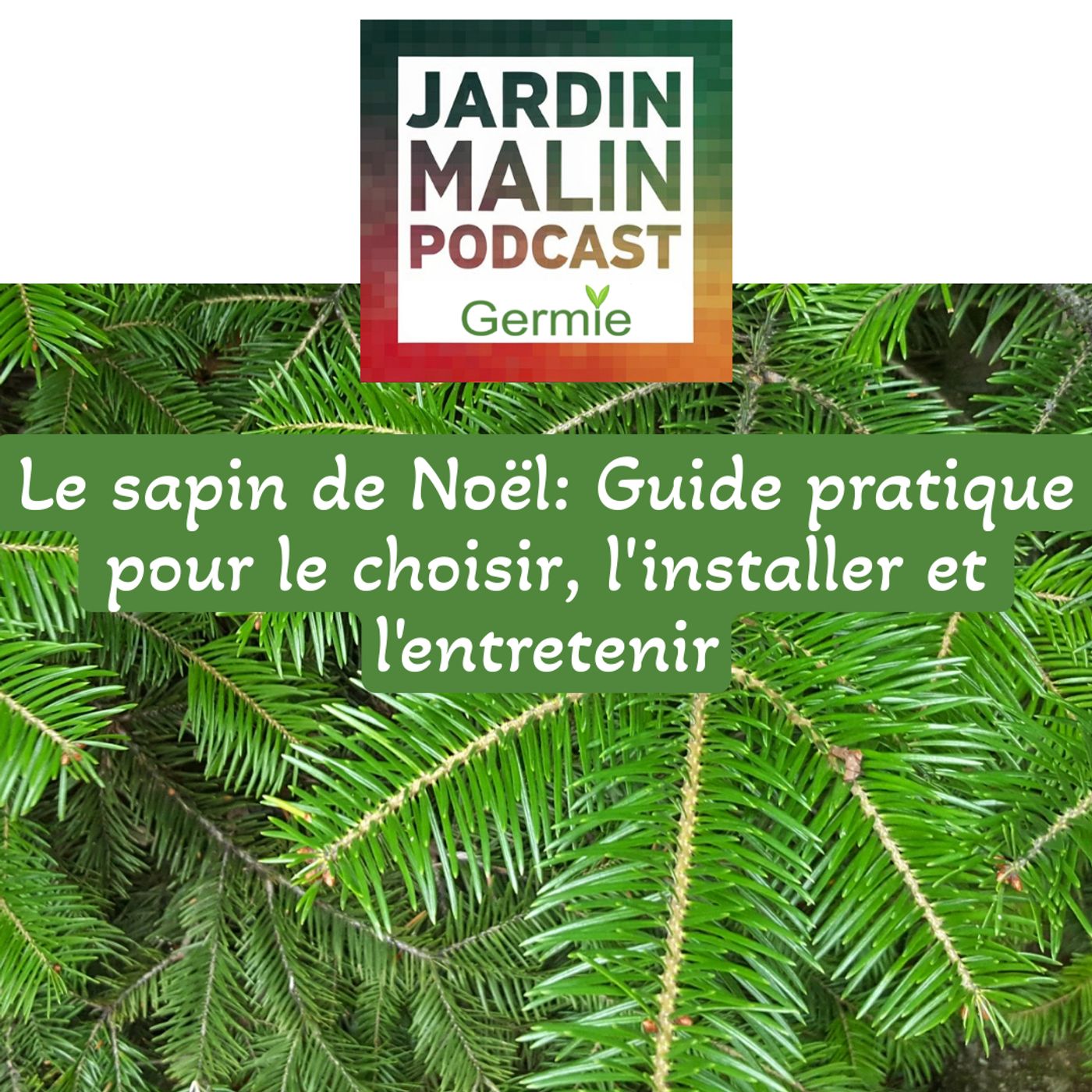 JARDIN MALIN by Germie