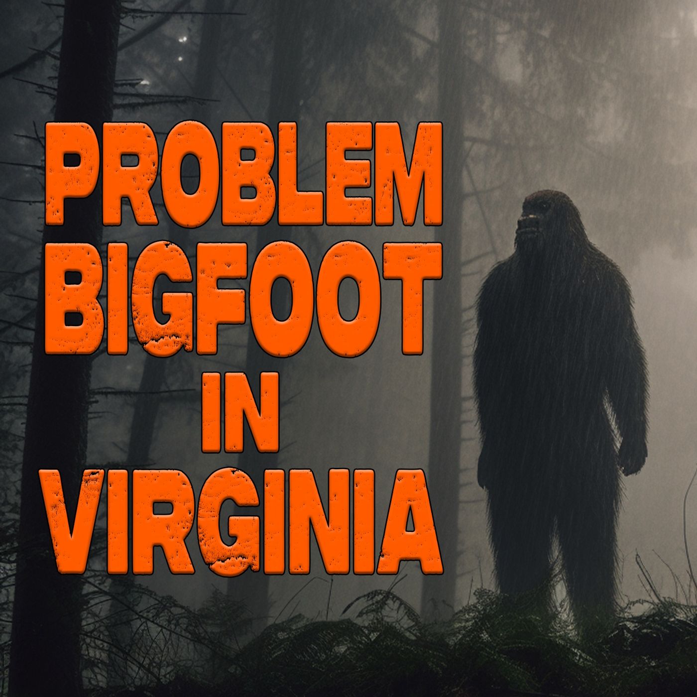 Bigfoot Problem in Virginia - Interview