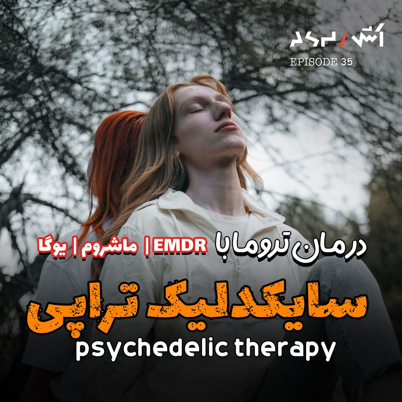 پادکست اش E35 | بهترین درمان های تروما از تاثیرگذارترین روان پزشک قرن ۲۱