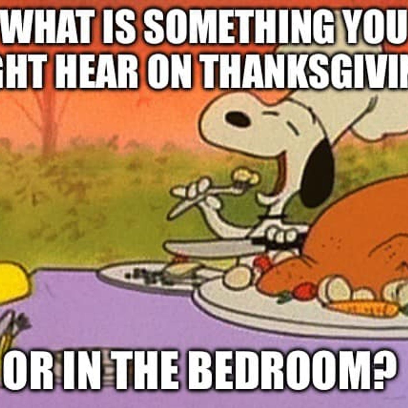 Dumb Ass Question: What is Something You Might Hear at Thanksgiving, or in the Bedroom episode artwork