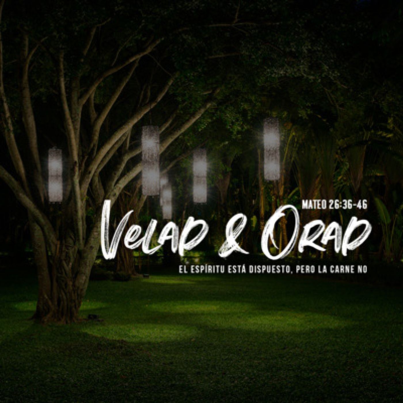 Velad orad ..! episode artwork