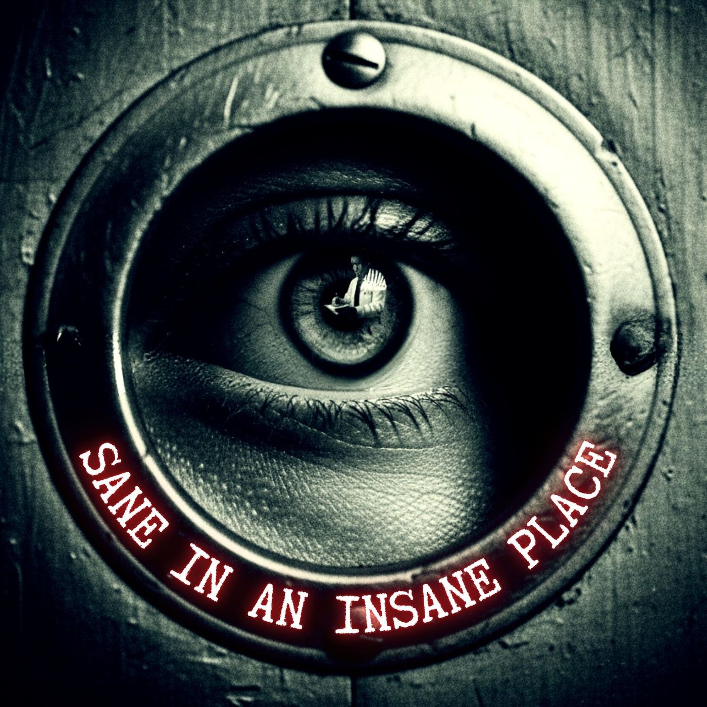 Sane in an INSANE Place: The Lie That Changed Psychiatry Forever