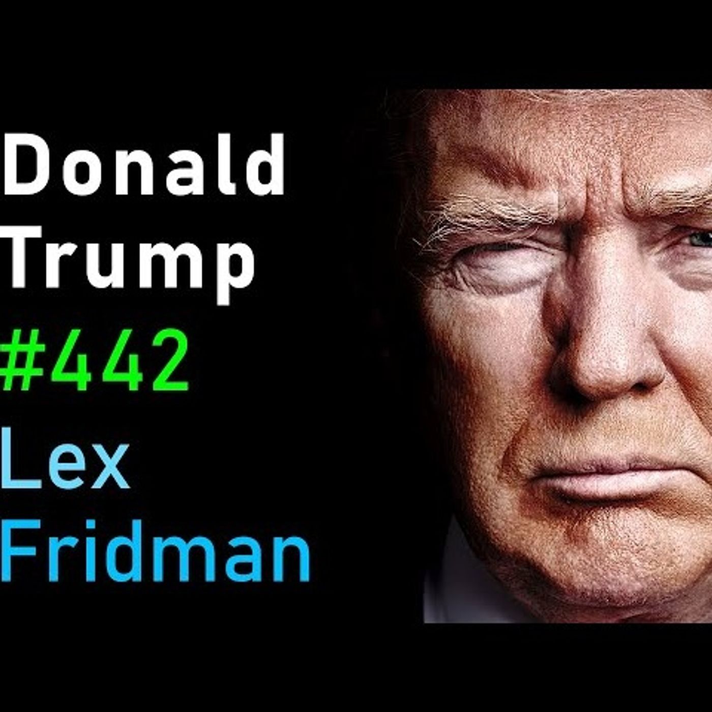 Donald Trump Interview _ Lex Fridman Podcast _442