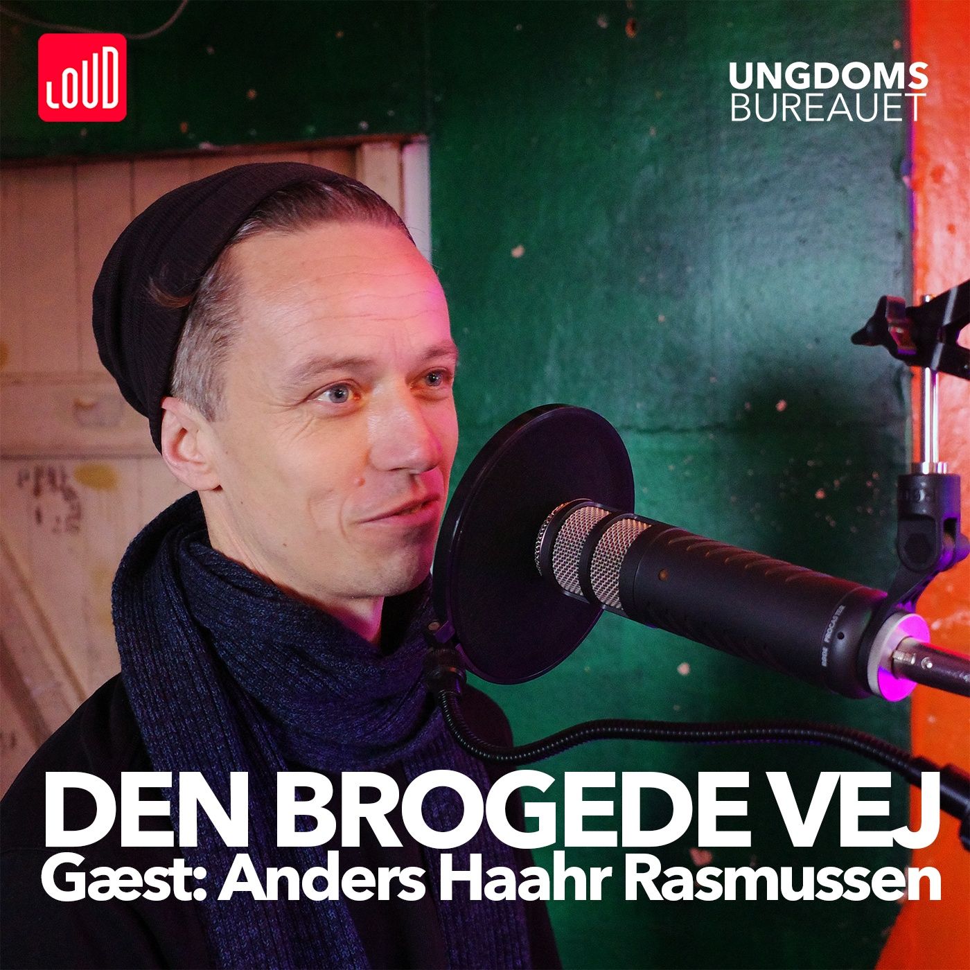 Den Brogede Vej